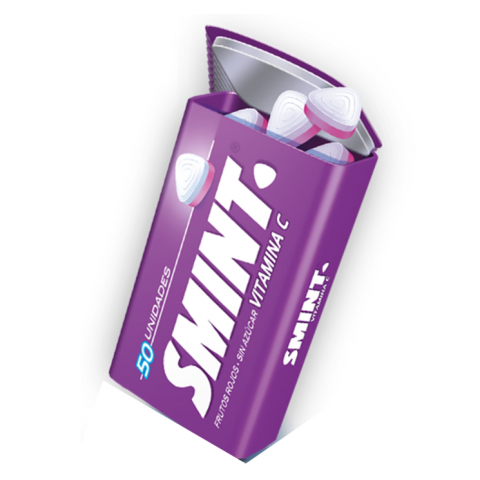 SMINT TIN FRUTOS SILVESTRES 12X35G