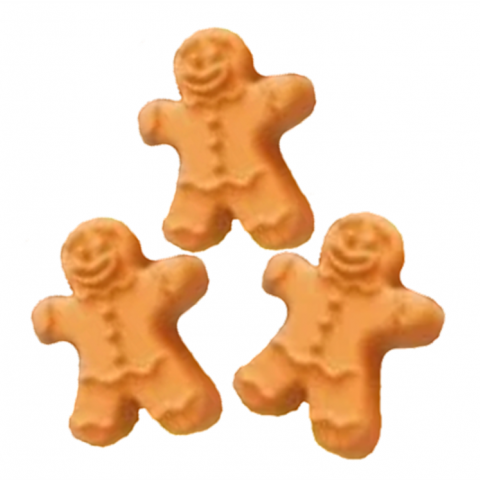 FINI BONECOS GENGIBRE FOAM 1 KG